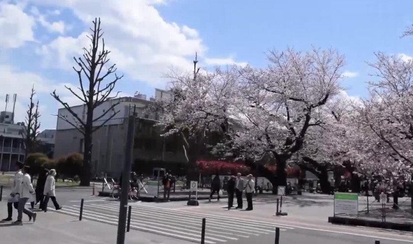 东京工业大学研究生留学2