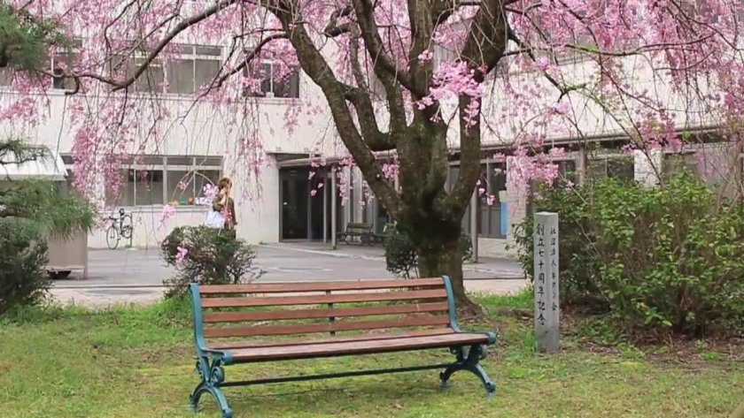 名古屋大学院校数据