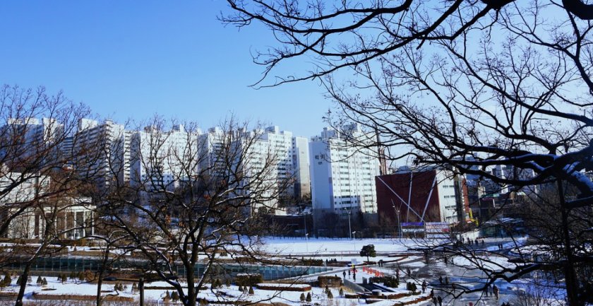 梨花女子大学本科留学